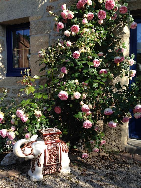 Le Domaine De Saint-Thomin Bed & Breakfast Nostang Eksteriør bilde